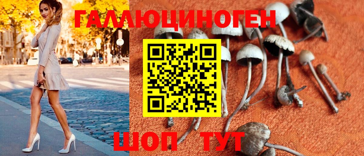 Галлюциногенные грибы мухоморы Камышин