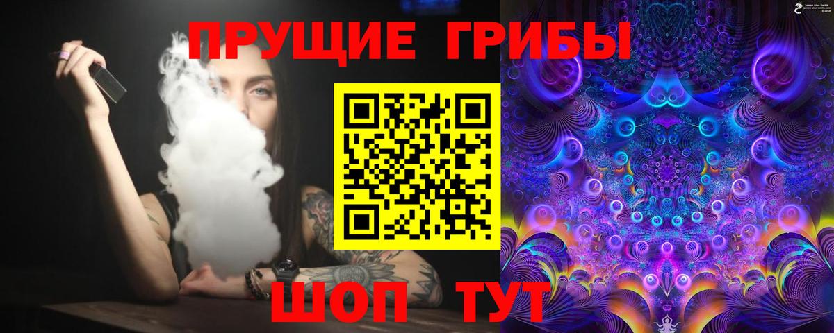 Камышин  Псилоцибиновые грибы прущие грибы  Псилоцибиновые грибы прущие грибы  Вход с VPN 